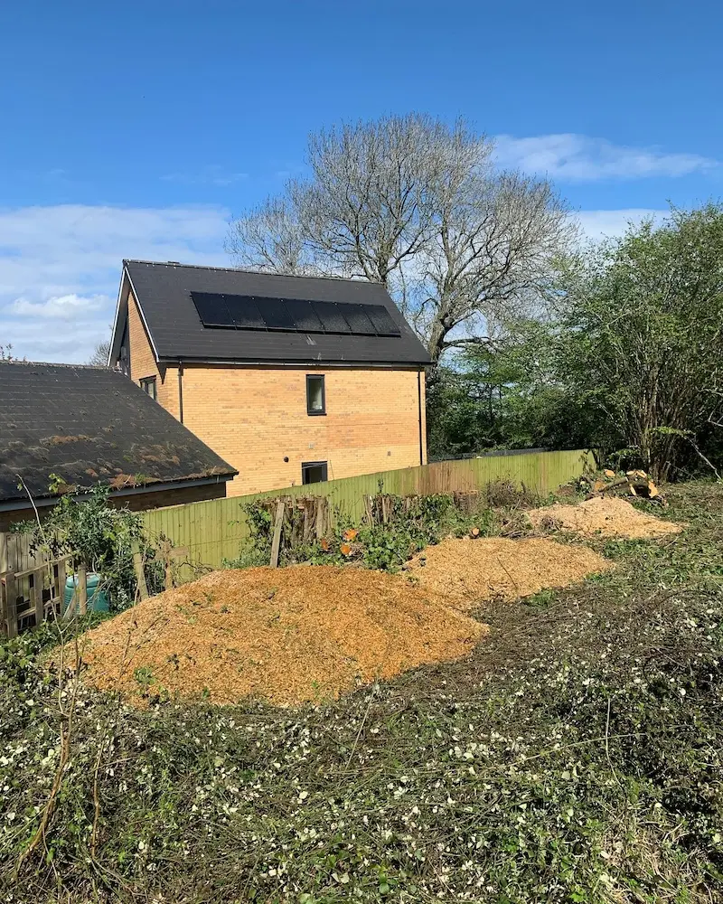 Site clearance in Dursley and coppicing hedgerows
