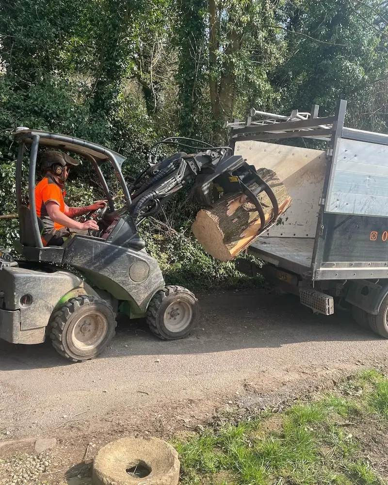 Using mini loader to lift large sections of tree trunk in a tree removal in Kingscote
