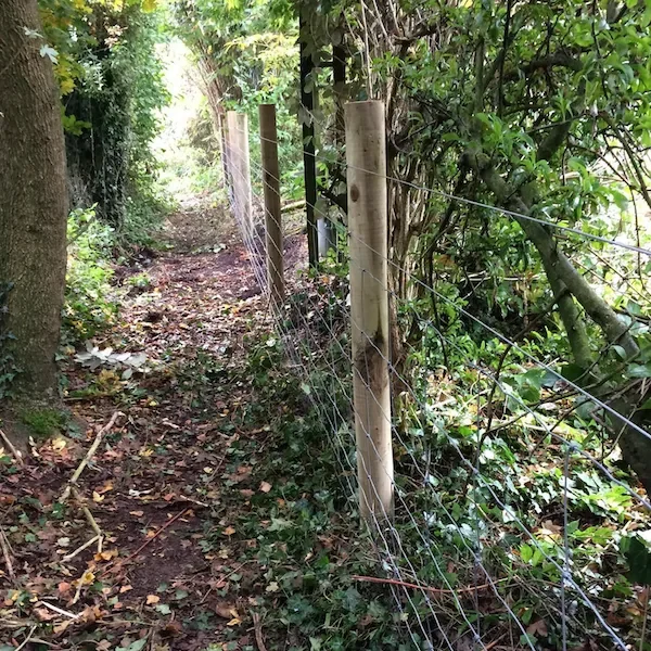 Boundary wildlife fencing on estates in Gloucestershire