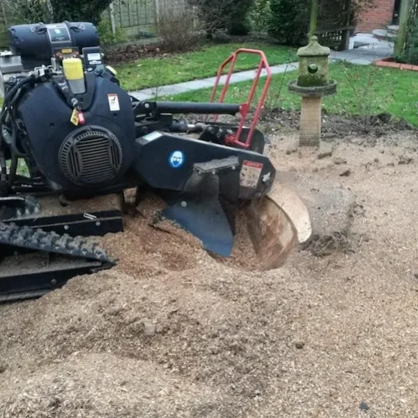 Stump grinding services in The Cotsolds