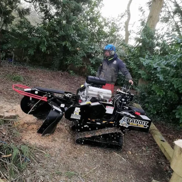 Stump removal in Cheltenham