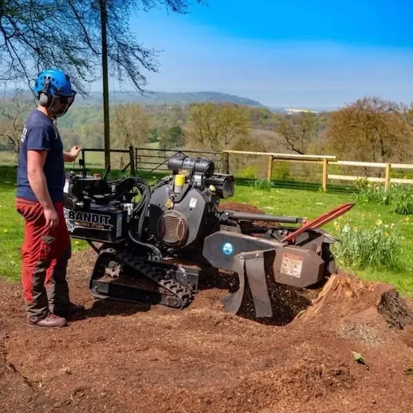 Stump removal in Dursley