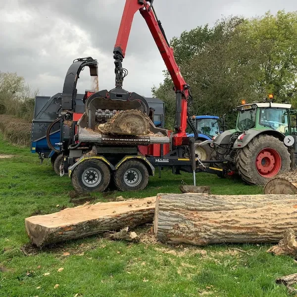 Timber extraction from building site